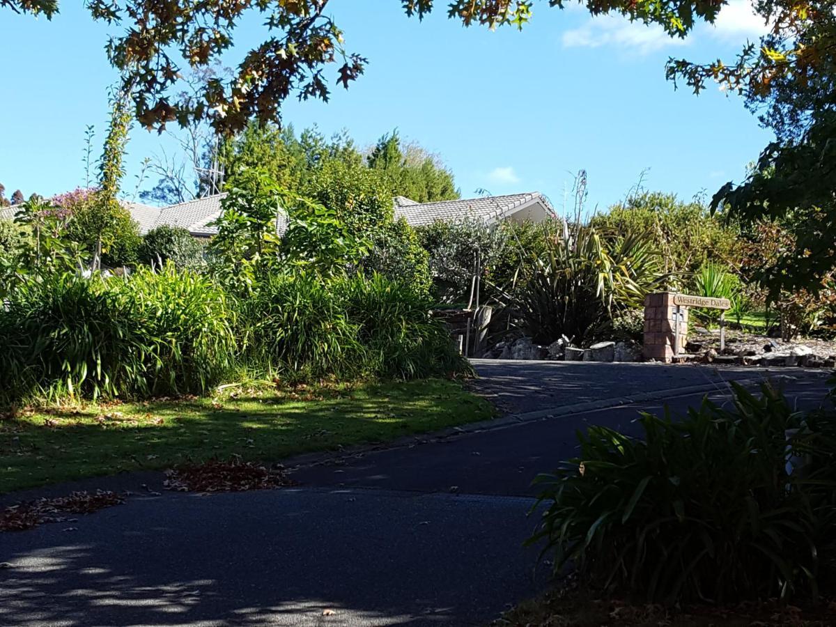 Westridge Dales Appartement Tauranga Buitenkant foto